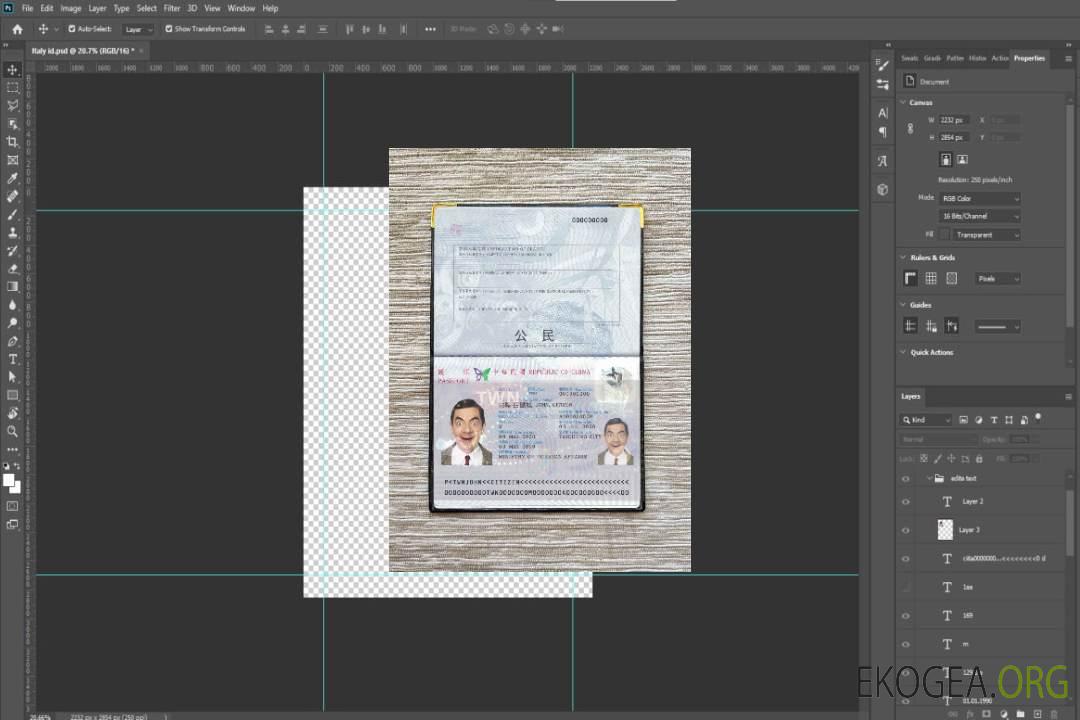 Look de photo de passeport de Taïwan template Look de photo de passeport de Taïwan template